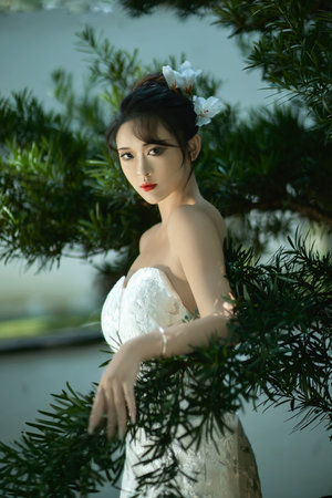 龙血至尊