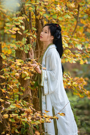 原来是美男啊 下载