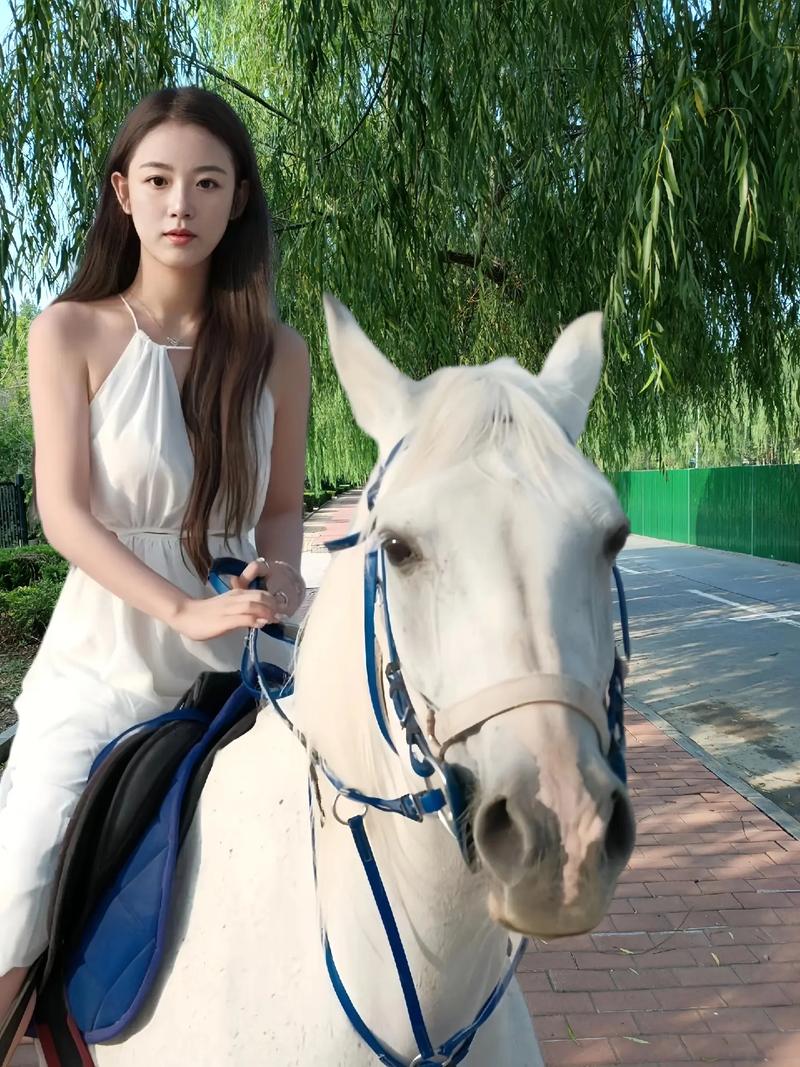 韩国娱乐